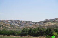 الشروع في توسعة مستعمرة ” اورانيت” غرب قرية عزون عتمة