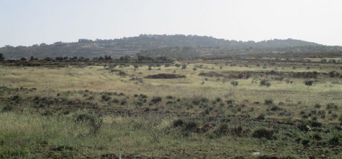 منع استغلال أراض زراعية بحجة أنها مناطق أثرية في بلدة دير استيا