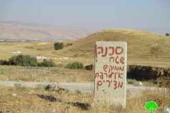 مستعمرون يمنعون الرعاة الفلسطينيون من الرعي في أراضيهم في منطقة الساكوت