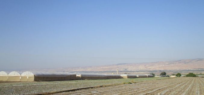 الاحتلال الاسرائيلي يخفض كمية المياه المزودة في قرية عين البيضا