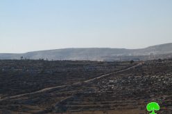 Israeli colonists  take over lands from Yasuf village for the favor of Tapuah colony