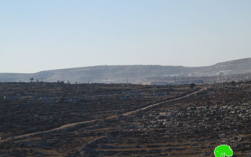 Israeli colonists  take over lands from Yasuf village for the favor of Tapuah colony