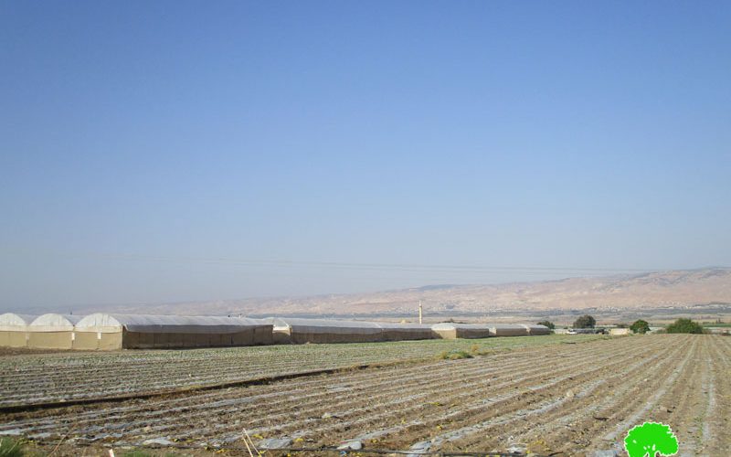 الاحتلال الاسرائيلي يخفض كمية المياه المزودة في قرية عين البيضا