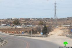 Israeli Occupation Forces ravage lands in Bethlehem governorate