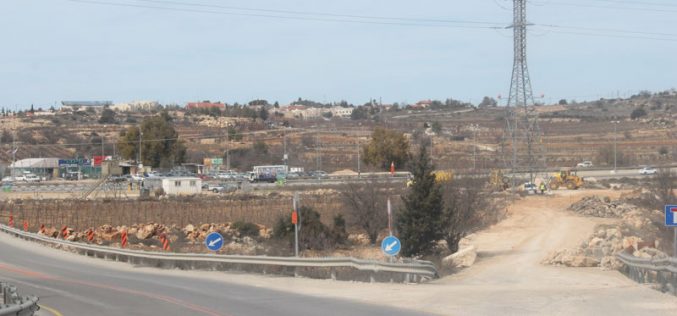 Israeli Occupation Forces ravage lands in Bethlehem governorate