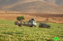 مصادرة 3 مركبات فلسطينية بحجة وجودها في منطقة مغلقة عسكرياً في منطقة البقيعة