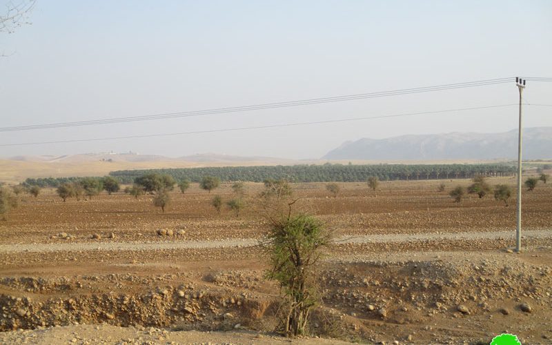 منع مربي الماشية في منطقة العوجا من رعي الأغنام بحجة أنها منطقة عسكرية مغلقة بمحافظة أريحا