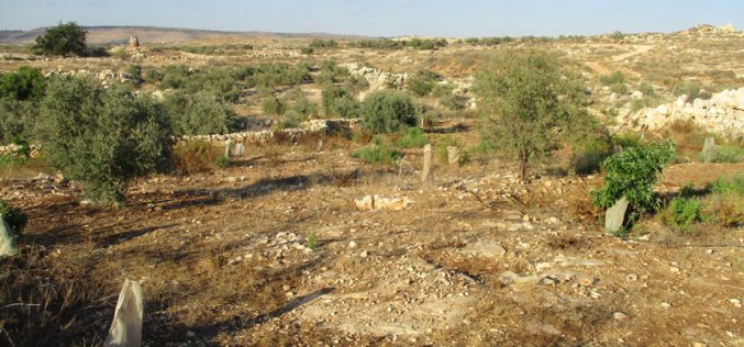 الاحتلال يدمر جدران استنادية ويقتلع أشجار في قرية جيوس / محافظة قلقيلية