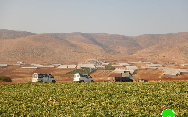 Israel’s Occupation Forces  confiscate Palestinian vehicles in east Tubas governorate