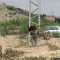 Israel’s Occupation Forces uproot 63 fruitful trees in Tulkarm governorate