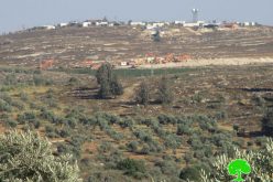 آليات الاحتلال تبدأ بالشروع في بناء مستعمرة ” عميحاي” على أراض قرية جالود