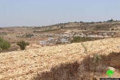 مستعمرون ينصبون كرفانات استعمارية على حساب الأراضي الزراعية في بلدة الخضر بمحافظة بيت لحم