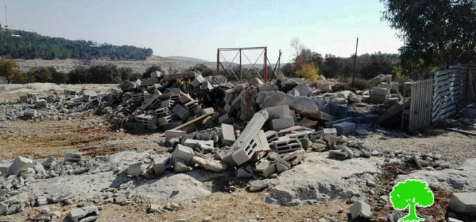 الاحتلال يهدم غرفة زراعية في قرية التواني شرق يطا بمحافظة الخليل