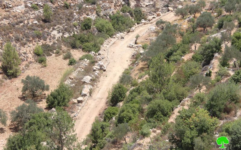 Stop-work order and confiscation in the Bethlehem village of Battir