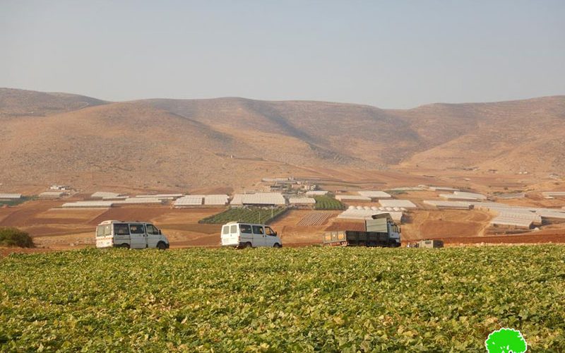Israel’s Occupation Forces confiscate Palestinian vehicles in east Tubas governorate