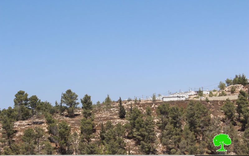 مخطط عنصري صهيوني لبناء 3 مستعمرات في “غوش عصيون” على حساب الأراضي الفلسطينية / محافظة بيت لحم