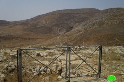 إخطار بإخلاء خمسة محميات رعوية في خربة طانا بمحافظة نابلس