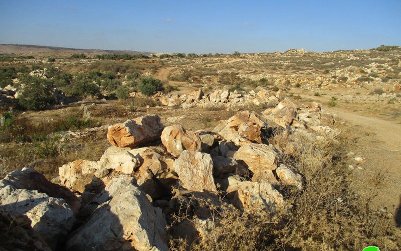 Israel’s Occupation Forces demolish retaining walls and uproot trees in Qalqiliya governorate