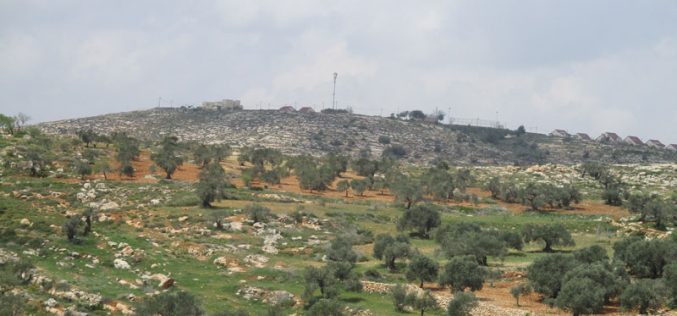 New master plan for Hayovel outpost takes over 45 dunums from Nablus lands