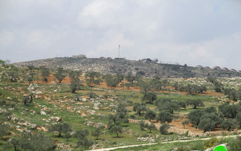 New master plan for Hayovel outpost takes over 45 dunums from Nablus lands