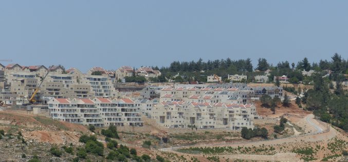 Monitoring Report on the Israeli Settlement Activities in the occupied State of Palestine – September 2017