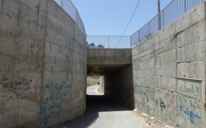 Monitoring Report on the Israeli Settlement Activities in the occupied State of Palestine – October 2017