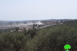 Israel removes landmines to establish new colonial quarter in Karne Shamron colony