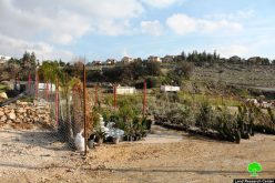 Israeli Occupation Forces notify seedlings nursery of stop-work in Hebron