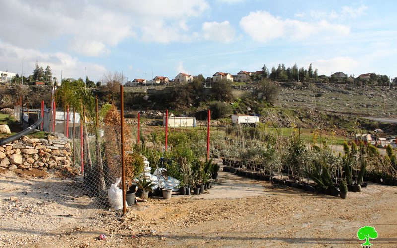 Israeli Occupation Forces notify seedlings nursery of stop-work in Hebron