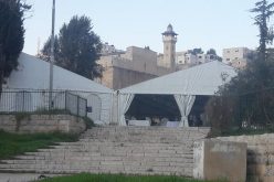 Israeli colonists’ assaults and violations in Old City of Hebron