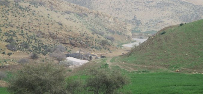 Israeli Occupation Forces confiscate agricultural tents in Tubas governorate
