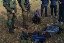 Israeli colonists assault Palestinian farmer in Al-Tuwani area of Hebron