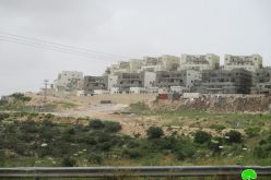 مستعمرة ” ليشم” خطر يهدد حي سكني كامل في بلدة دير بلوط / محافظة سلفيت