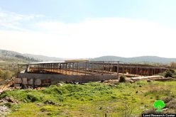 Stop-work orders on agricultural facilities in Beit Ummar village