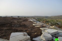 تجريف أراضي وهدم عدد من الغرف الزراعية والجدران الاستنادية في قرية شقبا محافظة رام الله