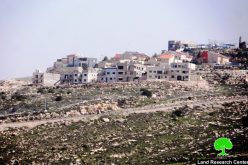 Israeli colonists establish new outpost in Hebron governorate