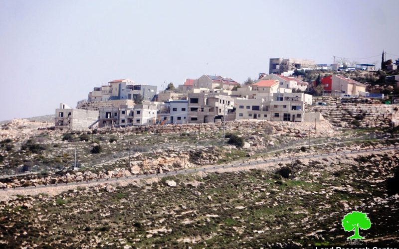 Israeli colonists establish new outpost in Hebron governorate