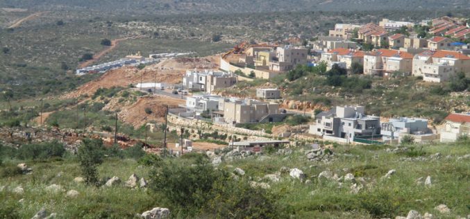 New colonial neighborhood in Revava colony at the expense of Salfit government lands
