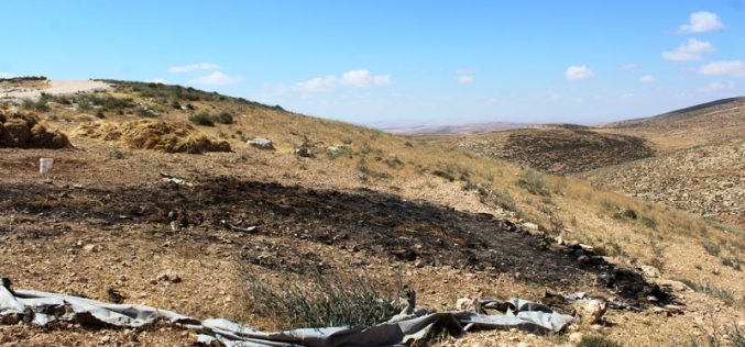 مستعمرون يحرقون محصولاً زراعياً في قرية خلة الضبع شرق يطا  محافظة الخليل