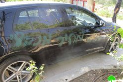 Israeli colonists write racist graffiti and slash cars’ tires in Qalqiliya