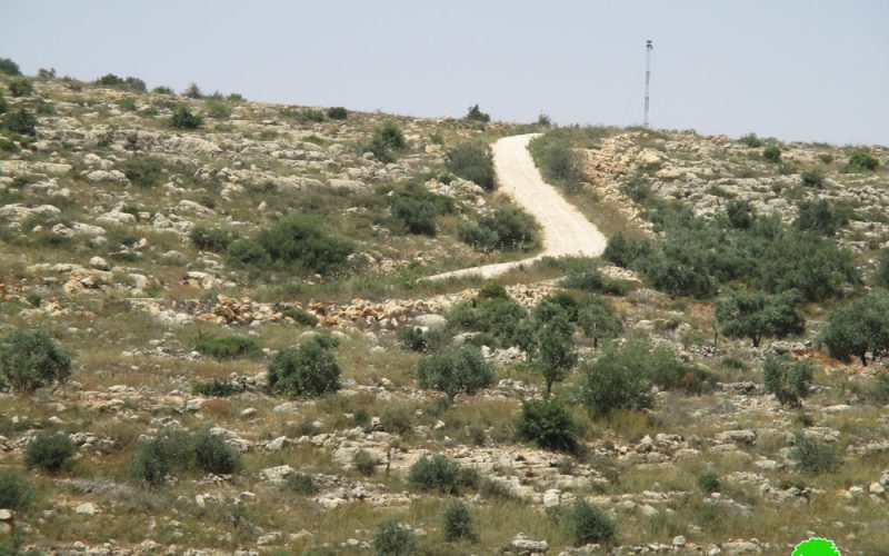 الاحتلال الاسرائيلي يوقف العمل بشق طريق زراعي غرب بلدة دير بلوط  محافظة سلفيت