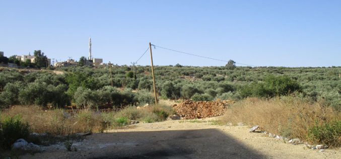 Israeli Occupation Forces notify agricultural barrack in Tubas governorate