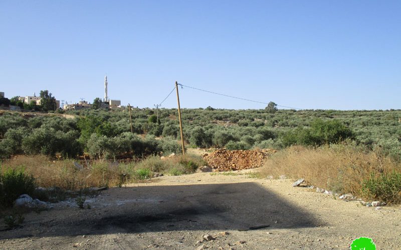 Israeli Occupation Forces notify agricultural barrack in Tubas governorate