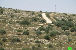 الاحتلال الاسرائيلي يوقف العمل بشق طريق زراعي غرب بلدة دير بلوط  محافظة سلفيت