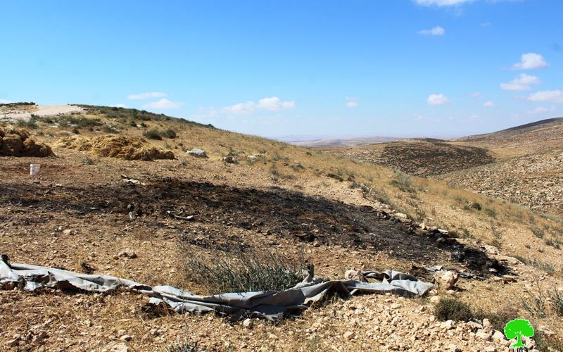 مستعمرون يحرقون محصولاً زراعياً في قرية خلة الضبع شرق يطا  محافظة الخليل