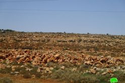 جيش الاحتلال يمنع تأهيل أراضي زراعية و يصادر جرافة بقرية صير محافظة قلقيلية