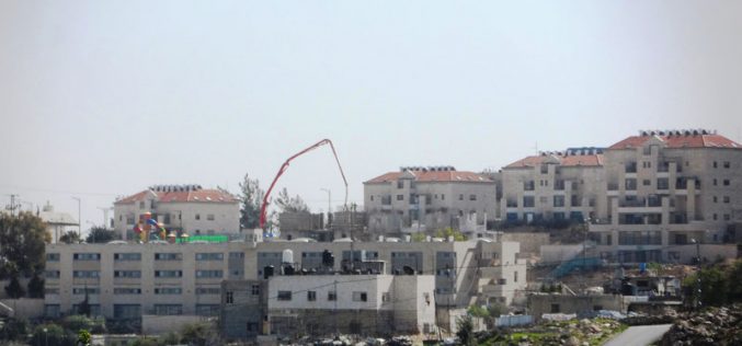 Israeli colonists establish new outpost east Hebron Governorate