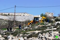 Israeli Occupation Forces demolish structures and ravage lands in Hebron