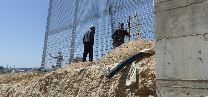 Monitoring Report on the Israeli Settlement Activities in the occupied State of Palestine – June 2018