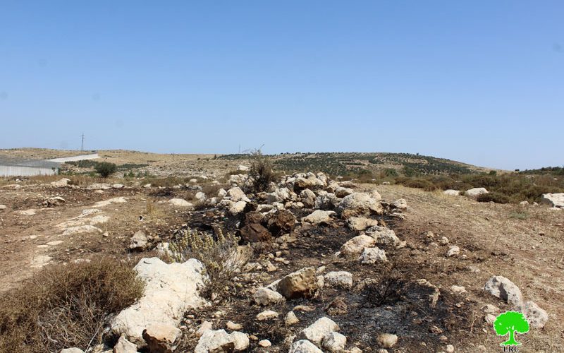 قوات الاحتلال تحرق محصول زراع في الأراضي الزراعية في بلدة إذنا  محافظة الخليل
